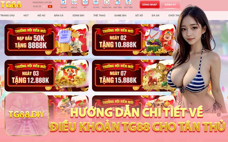 Hướng Dẫn Chi Tiết Về Điều Khoản TG88 Cho Tân Thủ